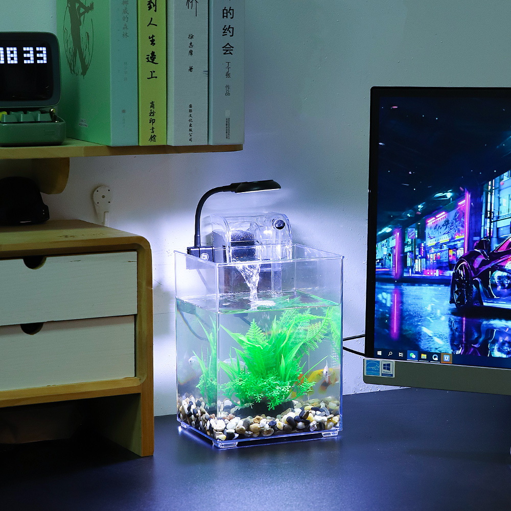 Ensemble précieux de poisson d - Office Technician avis et prix