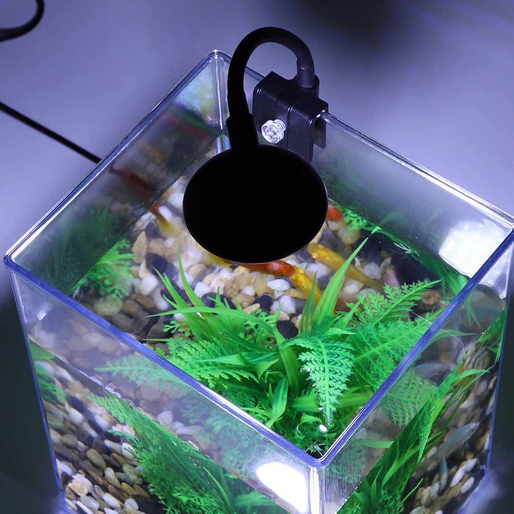Ensemble précieux de poisson d - Office Technician avis et prix